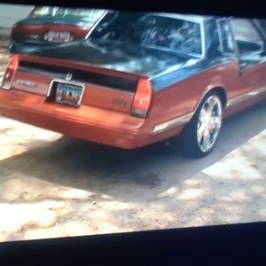 Meet your Posher, Paul